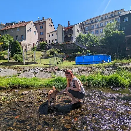 Apartamento Urlaubsmagie - Ferienwohnung Frischluft - Sauna & Saisonaler Pool *